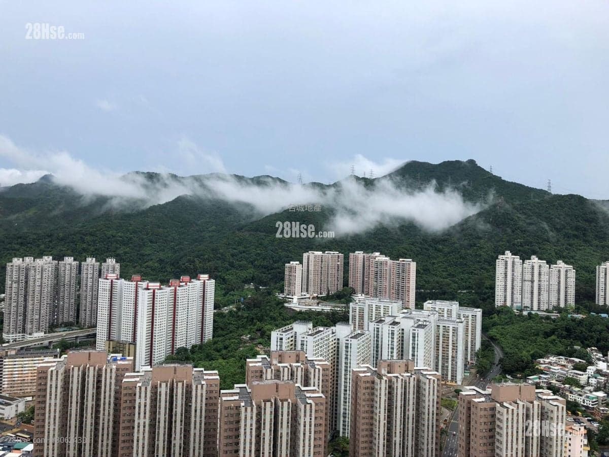 高層東南開掦，實客約看