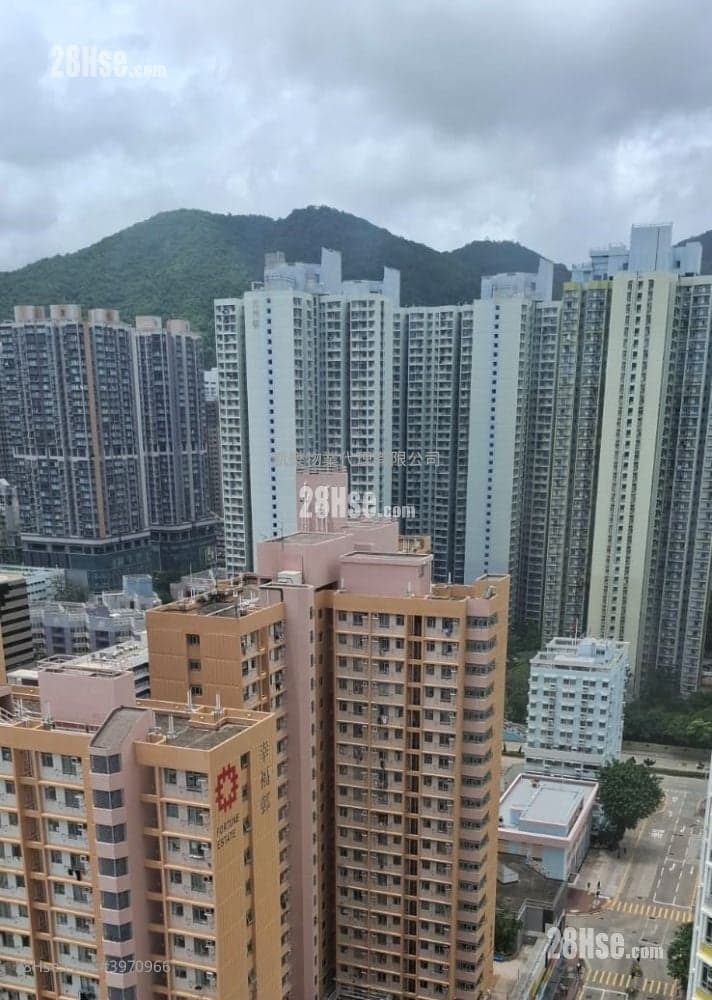 Andy麗翠筍盤推介 " 高層 開揚 靚景 裝修好 齊配套 隨時入住 還價即成"