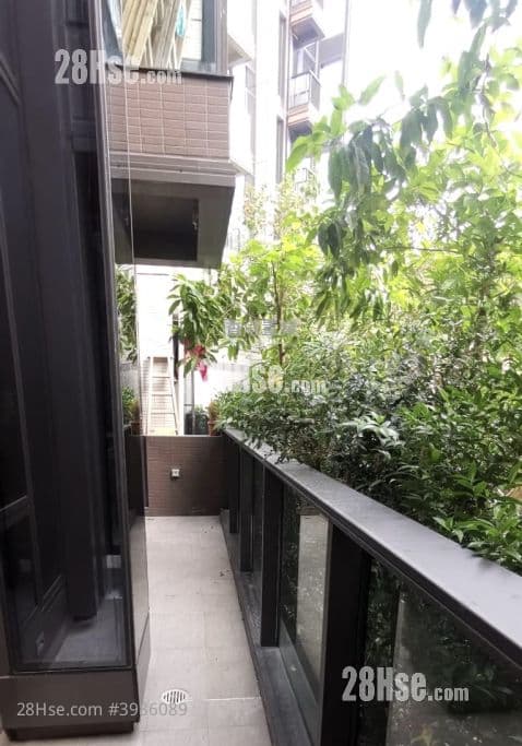 皓畋