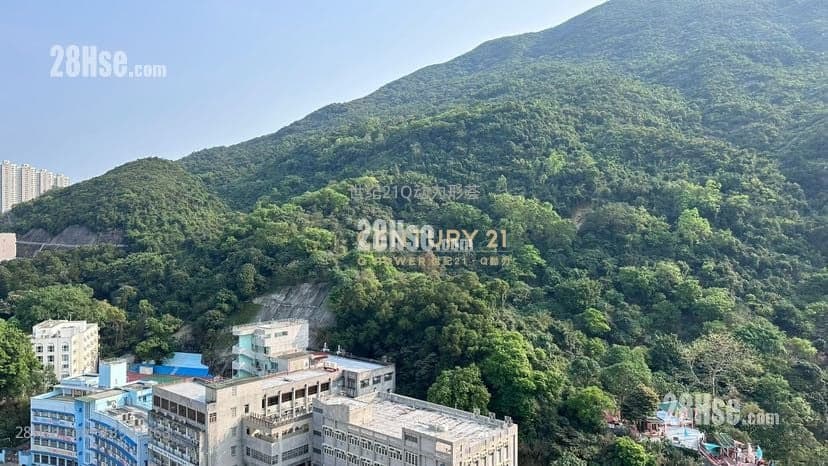 【世紀21真盤源】高層山景兩房，匙