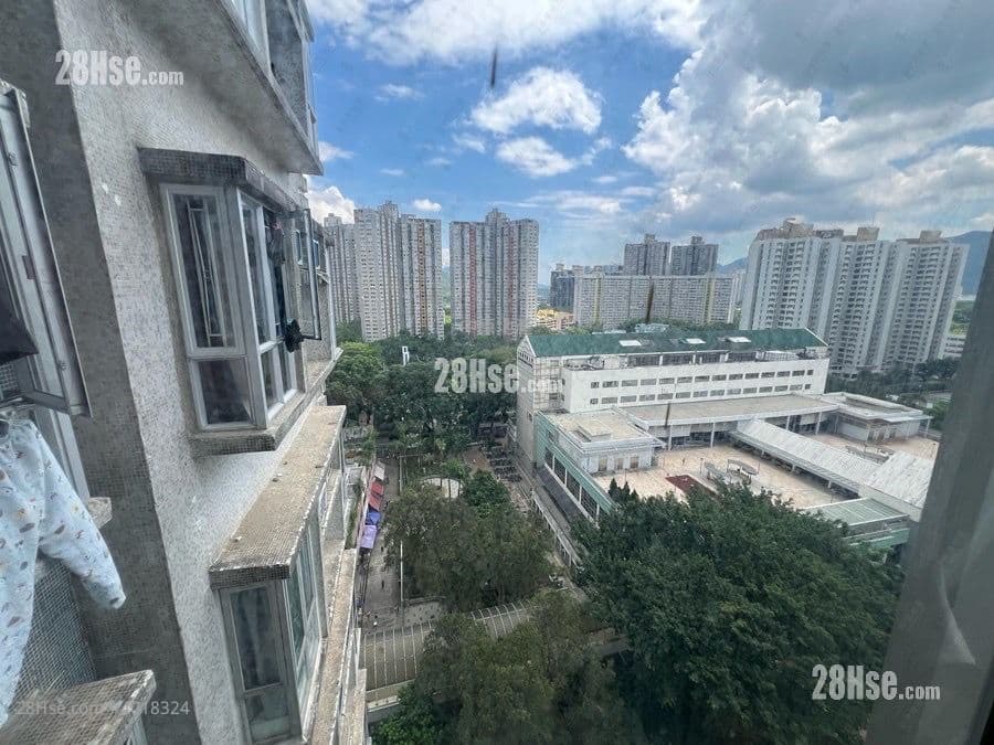交通便利 鄰近東鐵