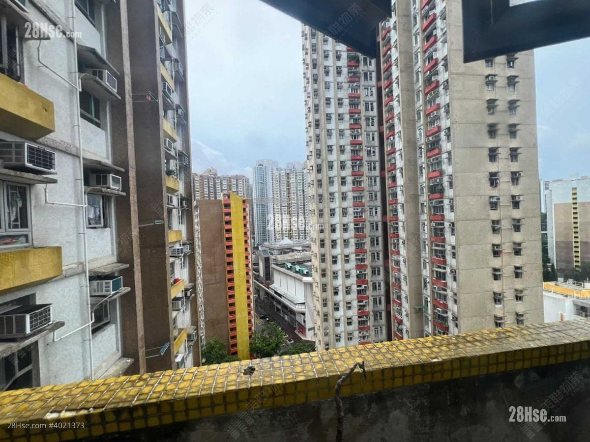 【4XX萬入手大三房】綠表/白居二尋寶！青泰苑一手原裝3房，業主易話為，極速约睇