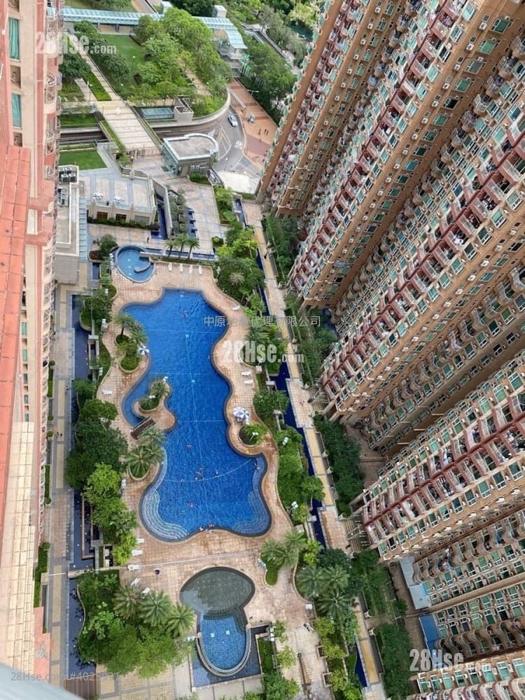 筍價急走，業主換樓