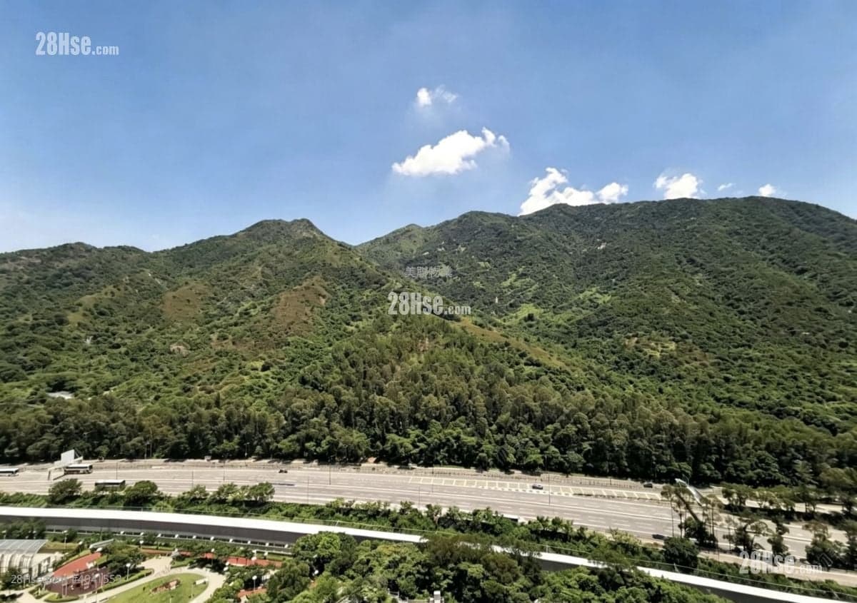 《筍盤狙擊手》3期東南翠綠山景2房 [內有VR]