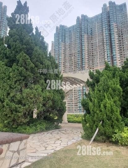 15XX歡迎約睇