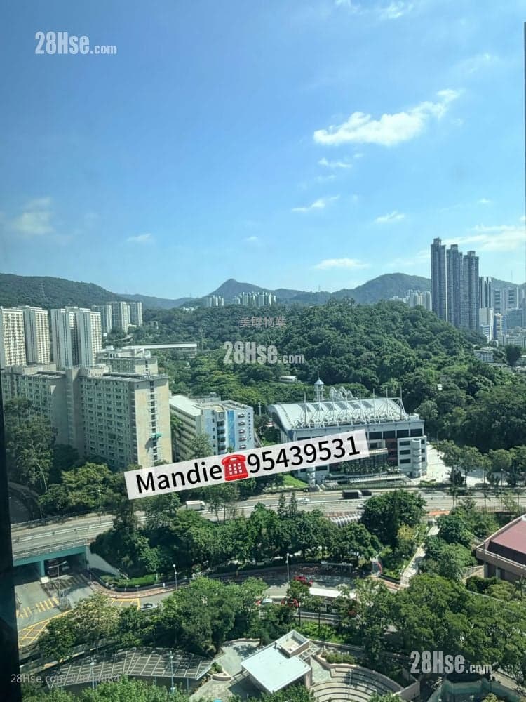 新放盘 高层东南开阳三房 随时约