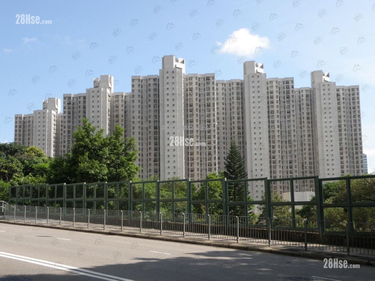 二房合绿表白居二，欢迎约睇