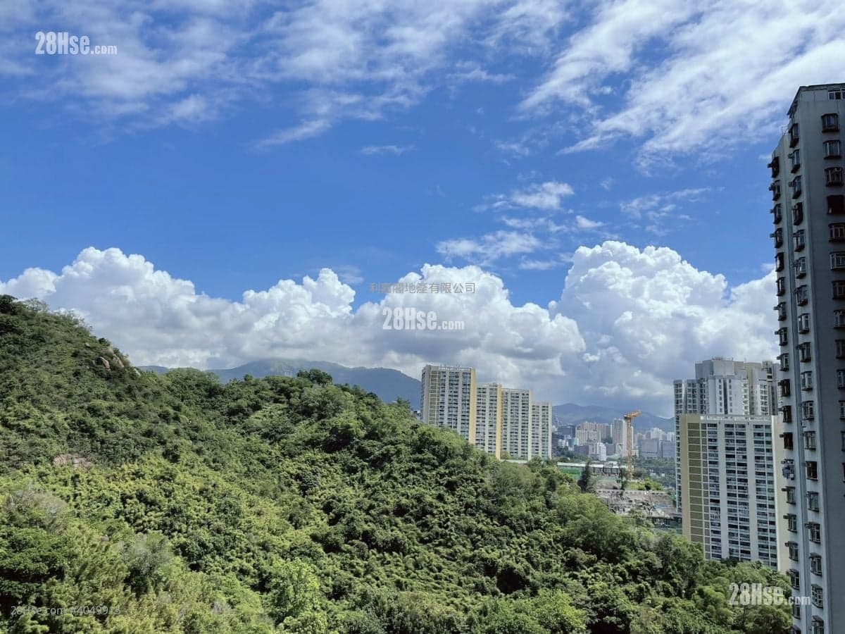 「明翹匯」青衣新樓王搶手極高層山景一房