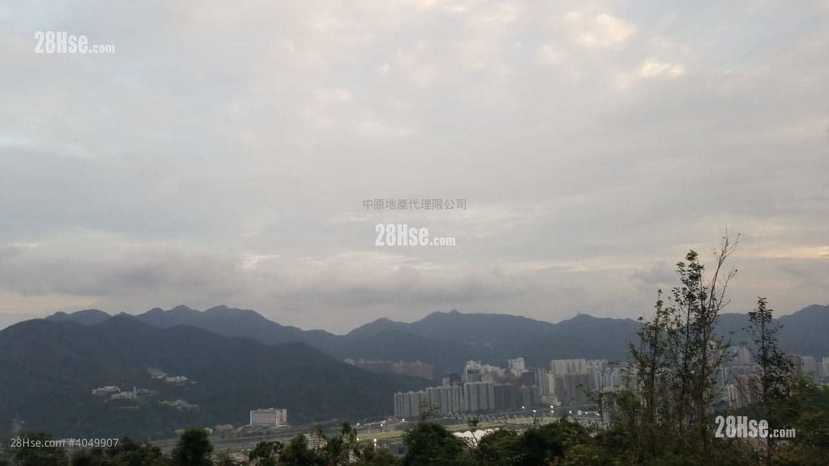 4088尺沙田九肚山全新house单栋电梯别墅