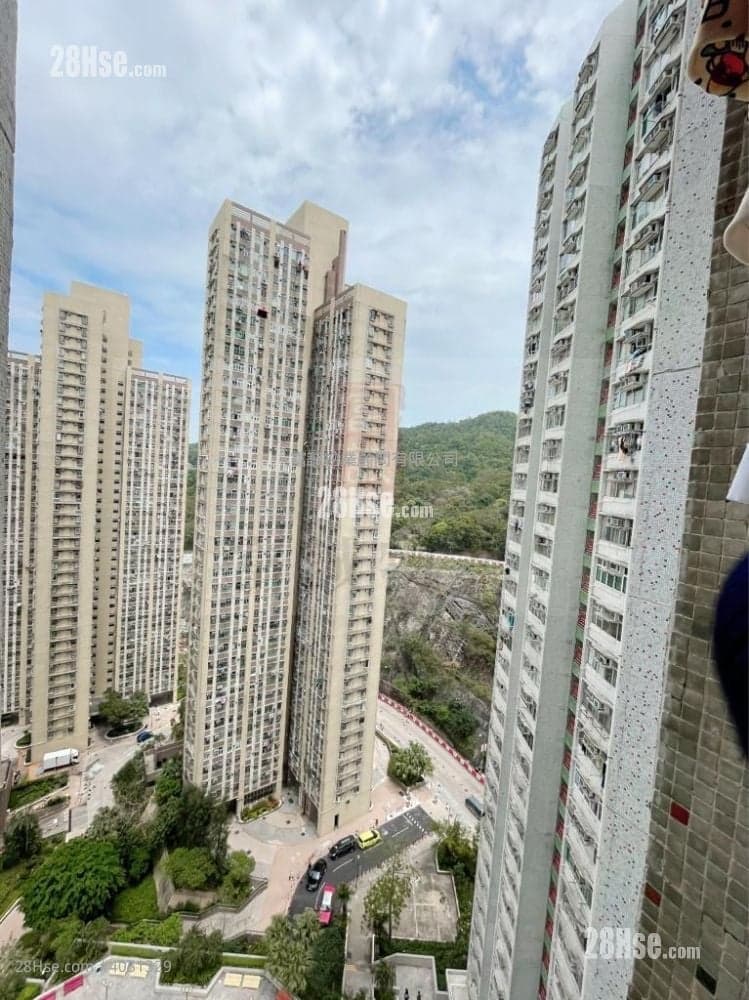 綠表,白居二,筍盤,高層開陽景