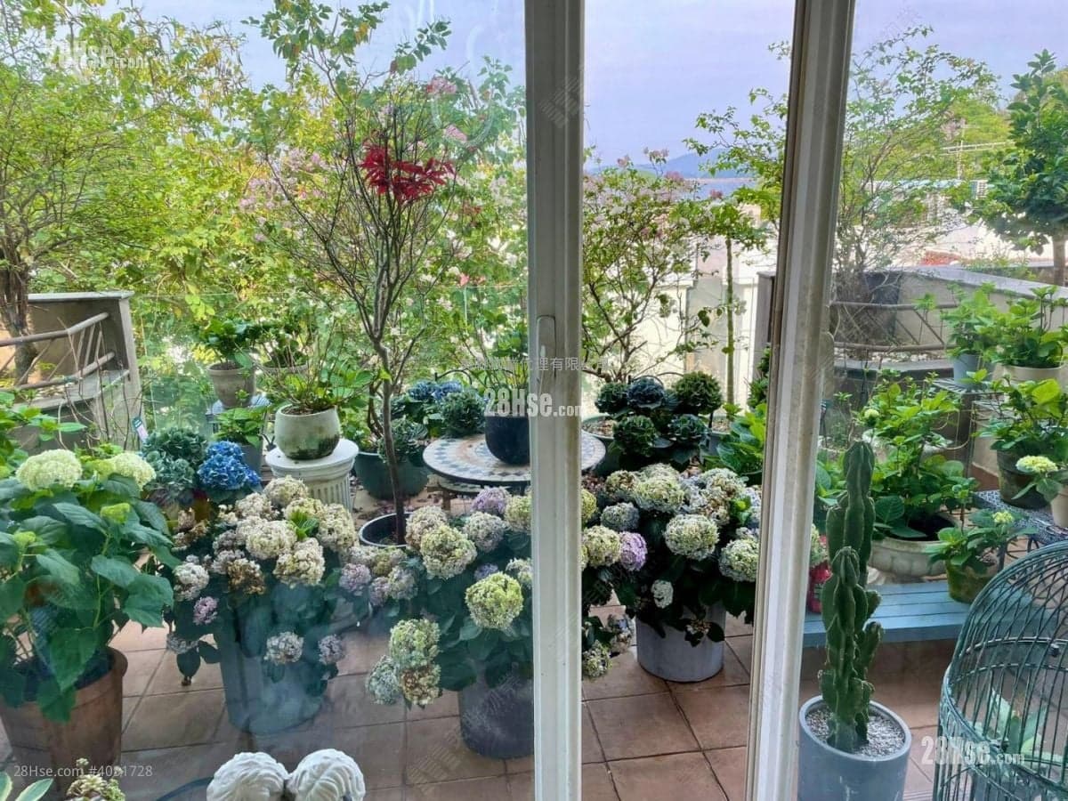開揚海景house，還價即成