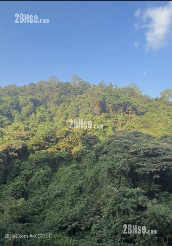 **絕無墳景** 單邊山景優質兩房, 全新未住, 特大主人房**