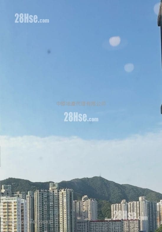 大埔中心