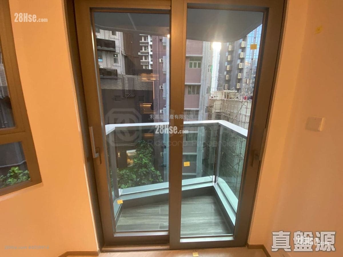 弦雅