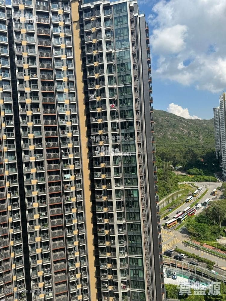 Novo Land