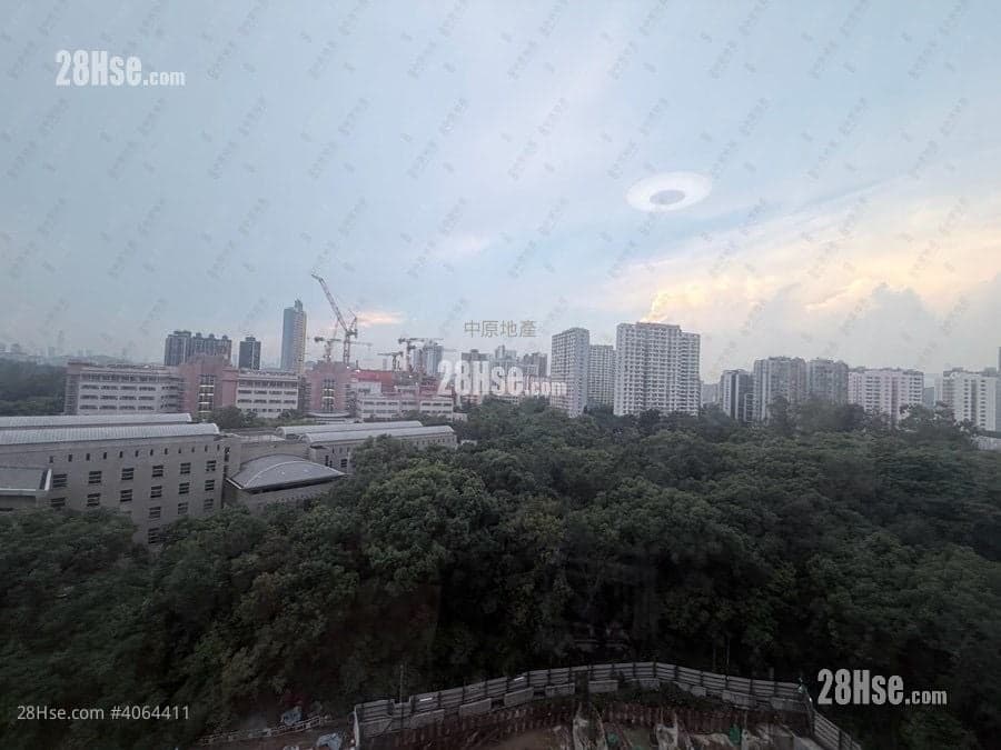 御皇庭