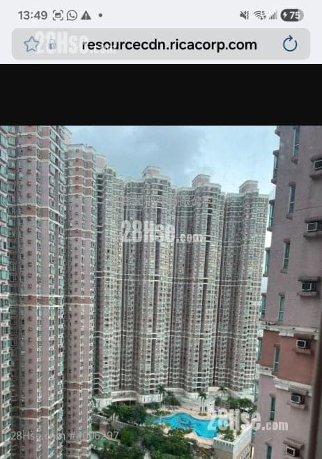 高層开扬.凊静,优质