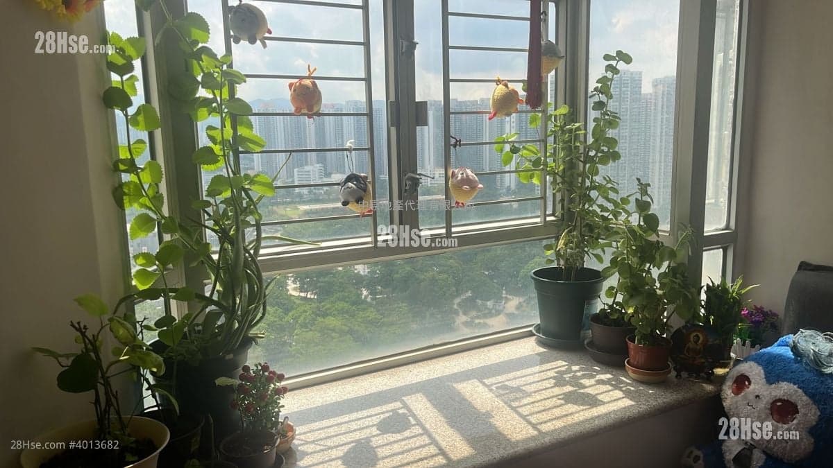 中央公園景 可約睇