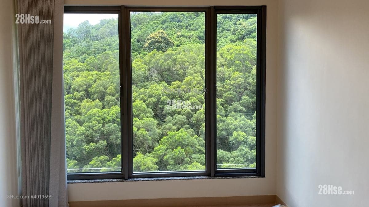 進駐九肚山名人地段3房套!寫意山景 可以約睇