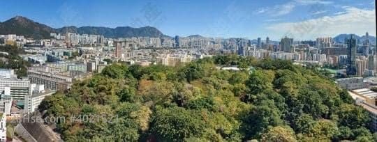 《壯麗山景,市區罕有,業主割愛,即刻約睇》
