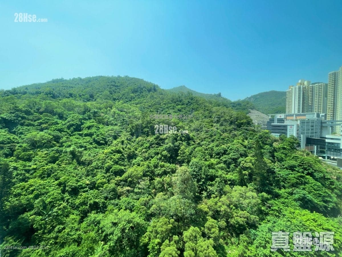 三期西南 內籠企理 歡迎約睇查