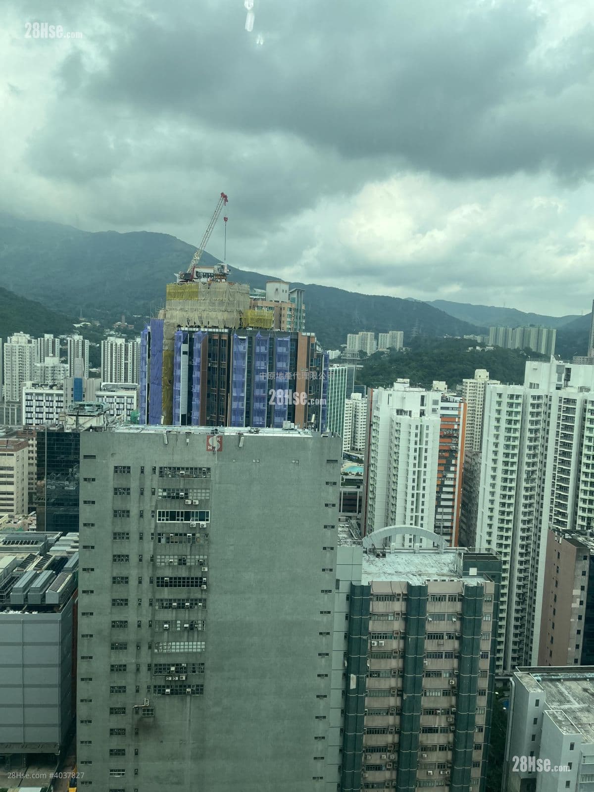 高層開楊