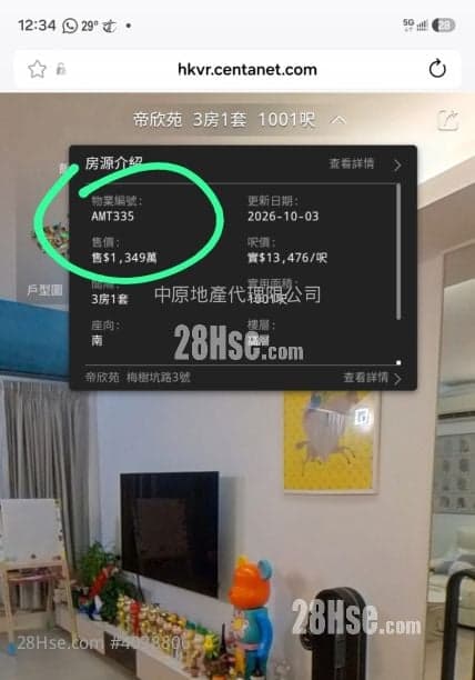 新淨裝修連天台單位