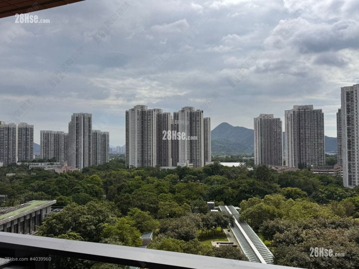 西南三房,中央公園景