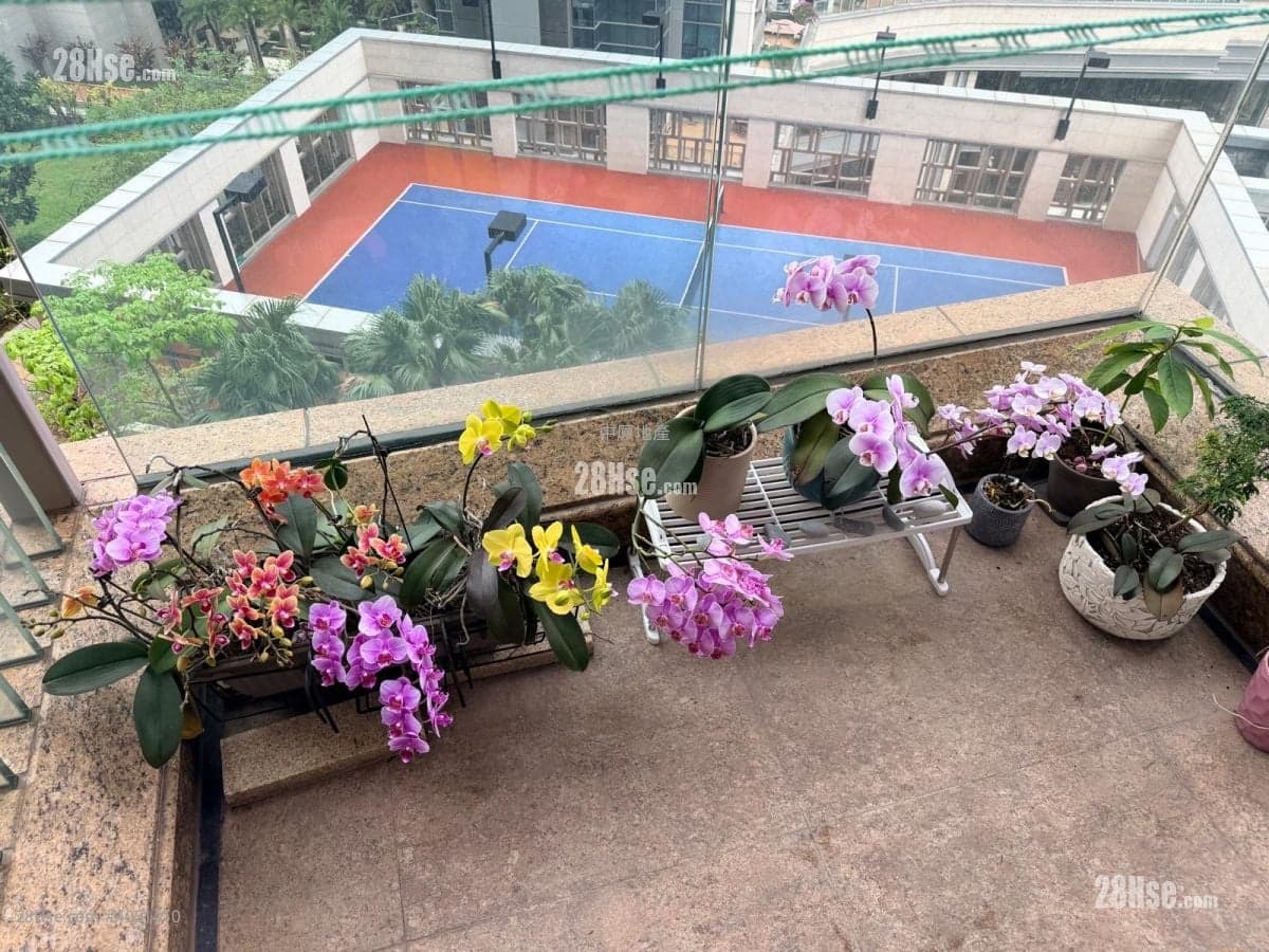 【用笋盘说话】可约!快电了解惊喜偄!另有其他絕密未能盡錄!