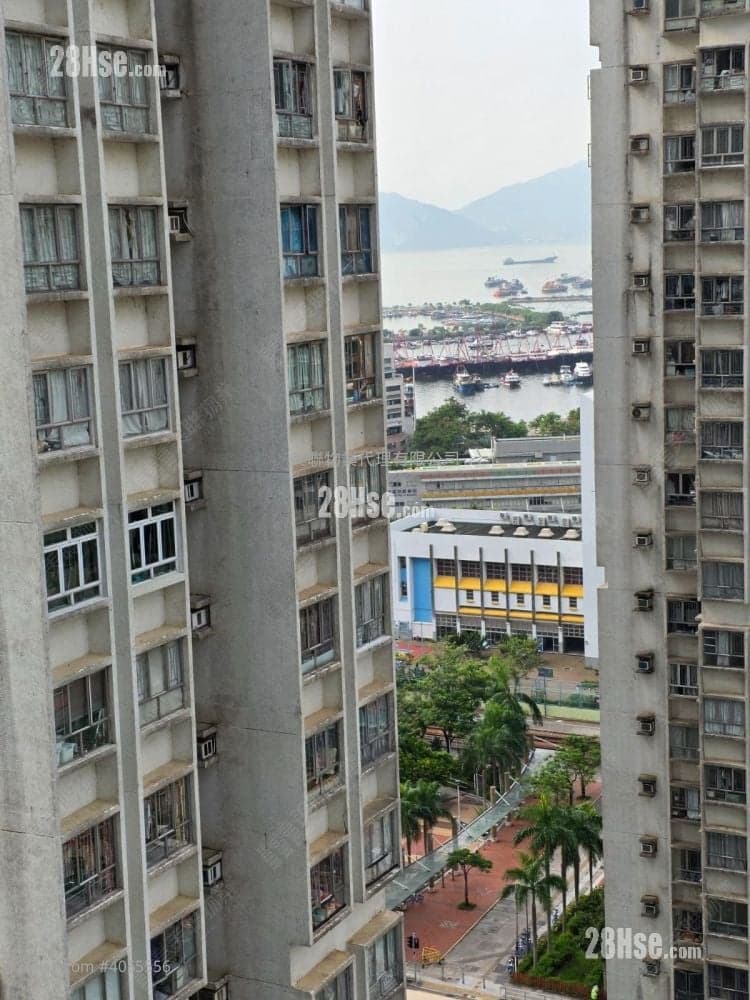 與其睇假盤唗時間 不如睇個真盤向南海