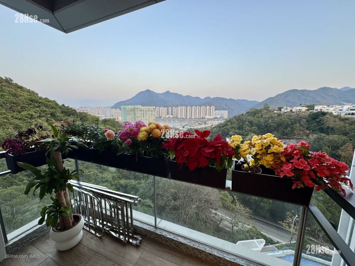 《座向東南+過百萬裝修》即買即住!新界半山富人區!《麗坪路組》